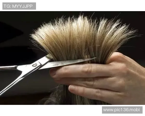 布里奇斯嘲讽斯图尔特：在那儿拽头发，根本不是真想打架